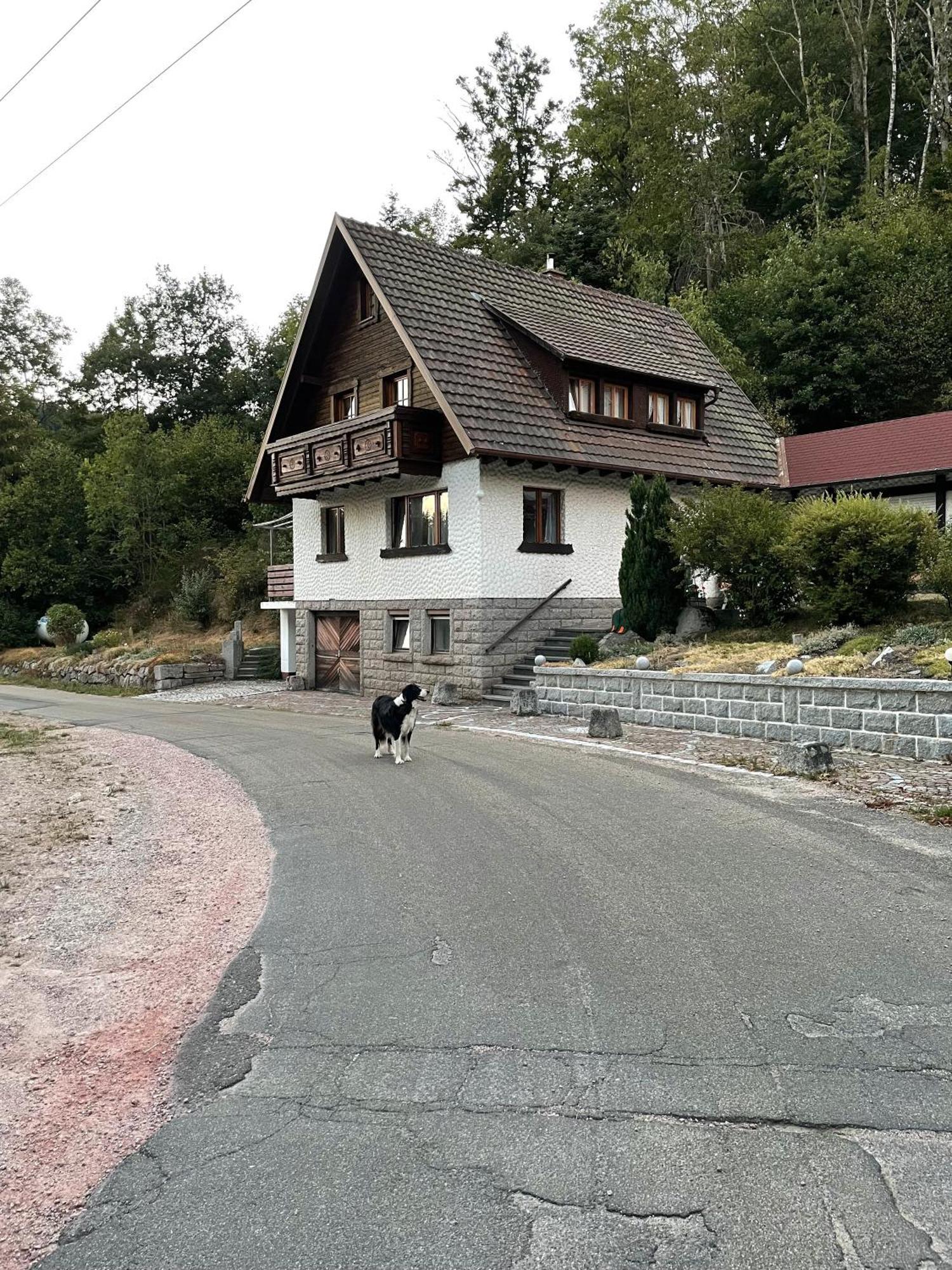 Idyllisches Ferienhaus Im Villa Am Bach Exterior photo